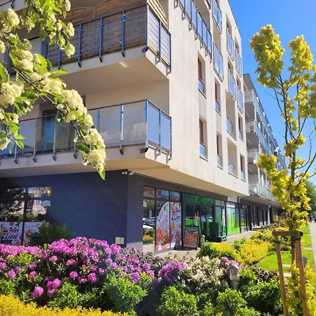 Lawendowy Relax 코워브제크